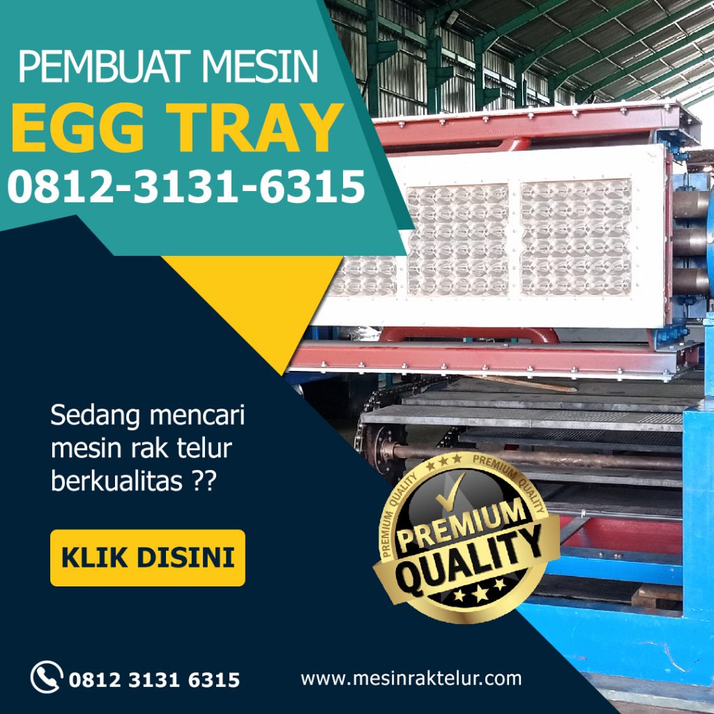 Harga Mesin Rak Telur Kapasitas 1000 Per Jam