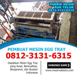 Pabrik Pembuat Mesin Egg Tray Kapasitas 3000 Per Jam