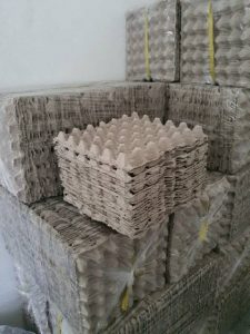 Keuntungan Bisnis Rak Telur Harga Mesin Pembuat Baki Telur Kapasitas 1500 Per Jam