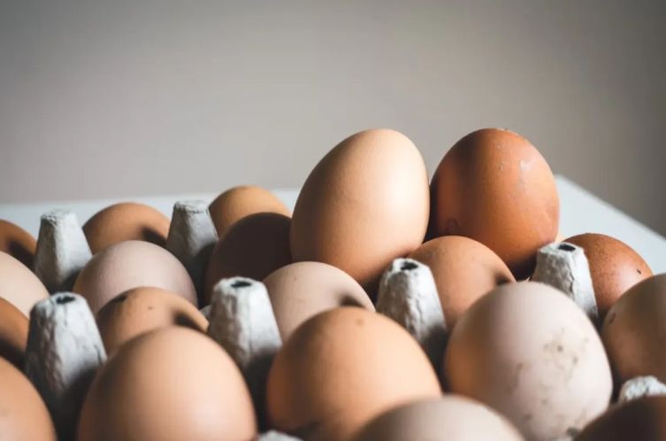 Cara Memilih Bahan Tray Telur yang Tahan Lama dan Kuat