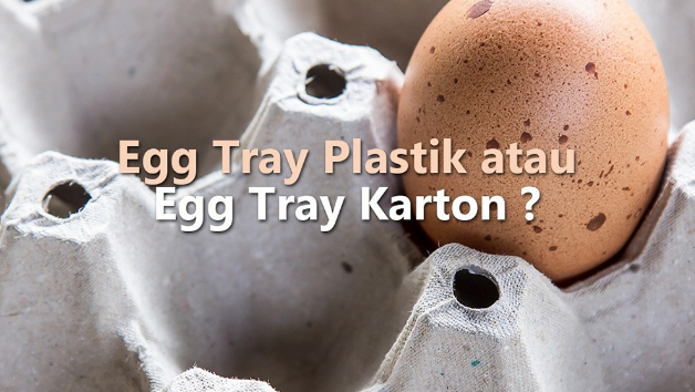 Tray Telur Karton VS Tray Telur Plastik