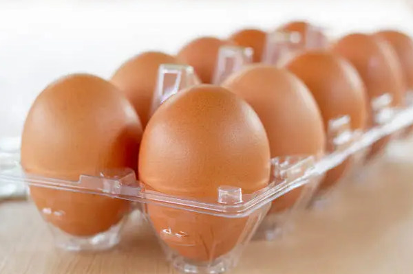 Ukuran dan Type Cetakan Egg Tray yang Laris di Indonesia